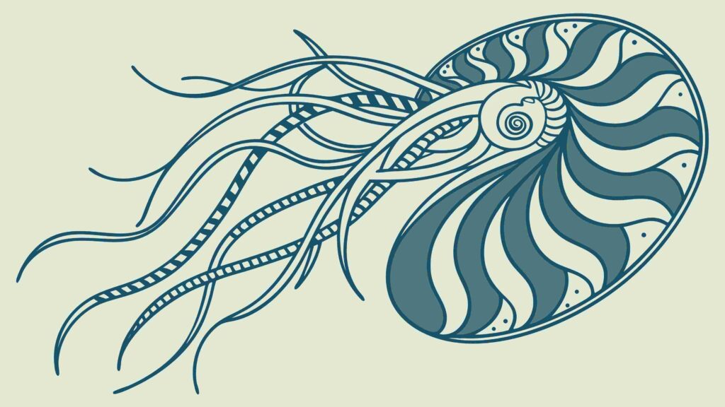 Abstract Nautiloid Shell with Flowing Tentacles, vector design Generative AI