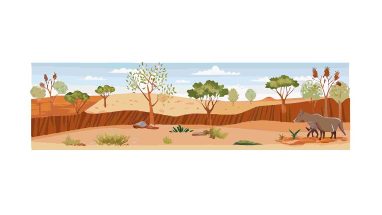 Arid Desert Landscape with Cacti Vector Border, vector design Generative AI