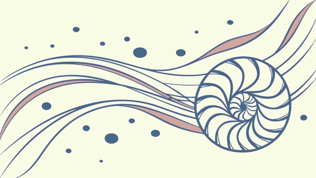 Nautilus Shell & Abstract Waves Ocean Vector Art, vector design Generative AI