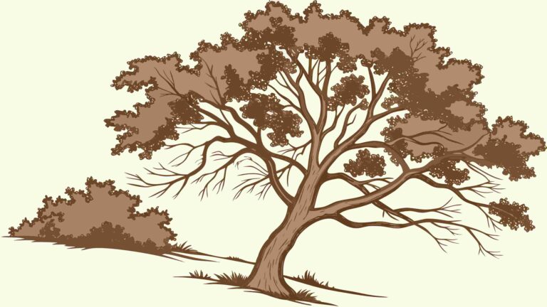 Sturdy Oak Tree Silhouette with Full Foliage, vector design Generative AI