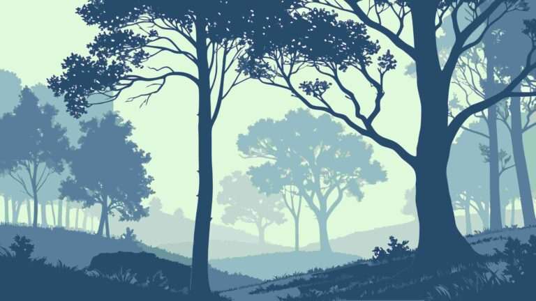 Serene Forest Scene with Pine Trees and Soft Lighting, vector design Generative AI