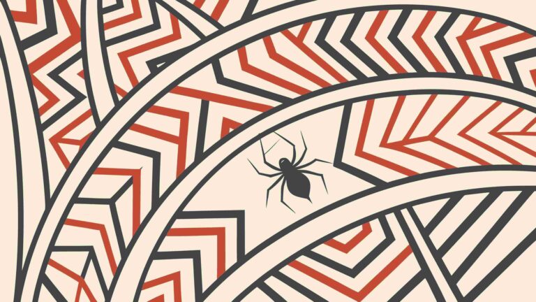 Tribal Geometric Pattern with Spider Motif Vector Art, vector design Generative AI