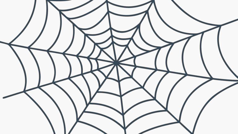 Classic Spider Web Line Art Geometric Design Element, vector design Generative AI