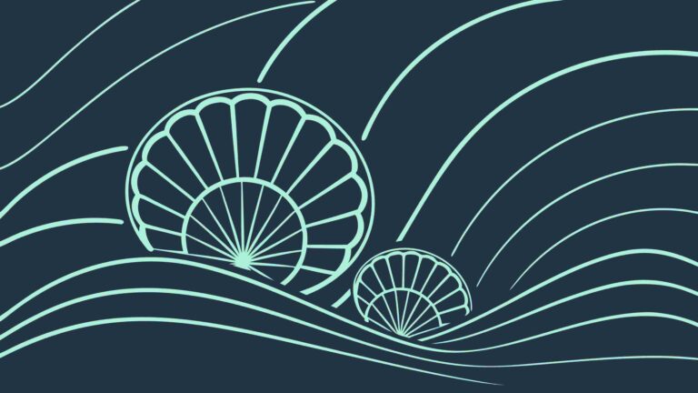 Abstract Seashells and Ocean Waves Minimalist Vector, vector design Generative AI