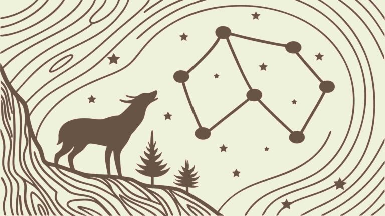 Lone Wolf Howling at Stars Vector Illustration, vector design Generative AI