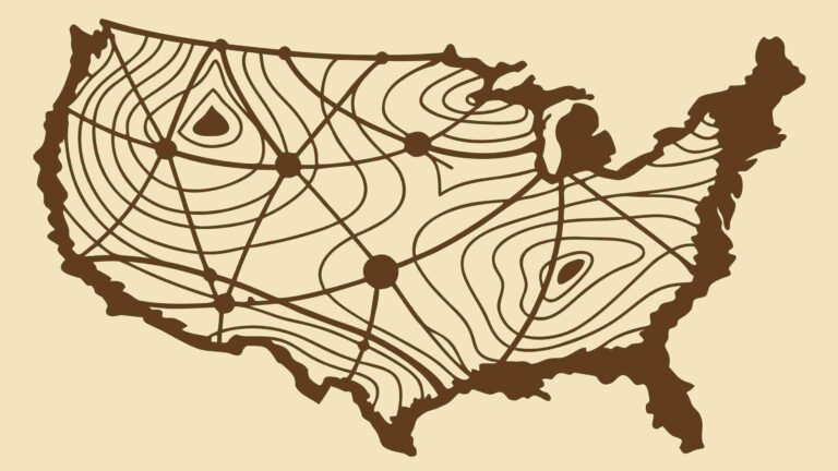 USA Map with Wood Grain and Tree Ring Texture, vector design Generative AI