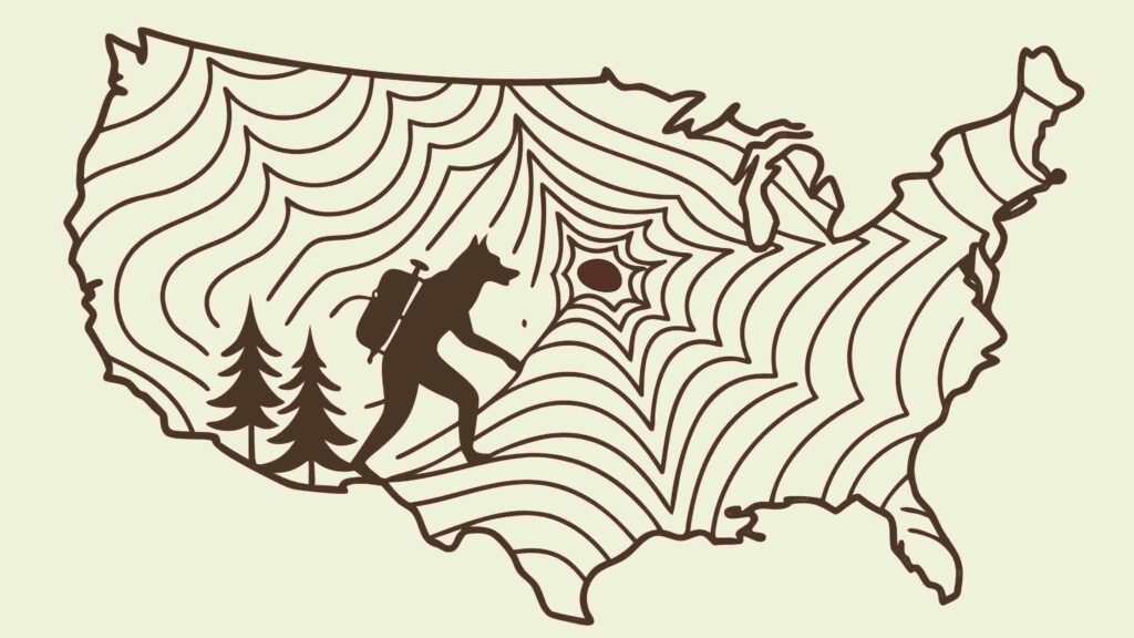 USA Map Bigfoot Silhouette Forest Landscape, vector design Generative AI
