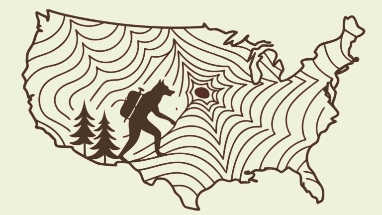 USA Map Bigfoot Silhouette Forest Landscape, vector design Generative AI