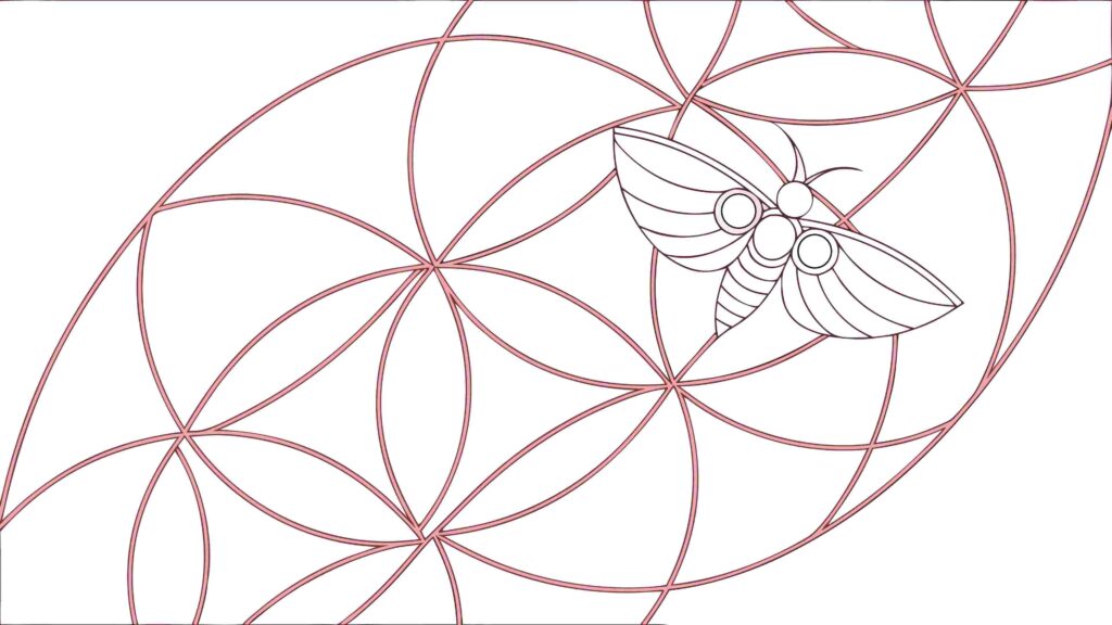 Geometric Spiral with Honey Bee, Nature's Mathematics Vector Art, vector design Generative AI