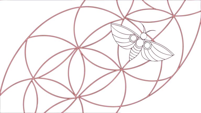 Geometric Spiral with Honey Bee, Nature's Mathematics Vector Art, vector design Generative AI
