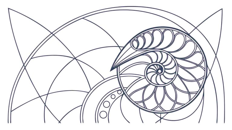 Geometric Nautilus Shell Outline, Nature's Golden Ratio Vector Art, vector design Generative AI
