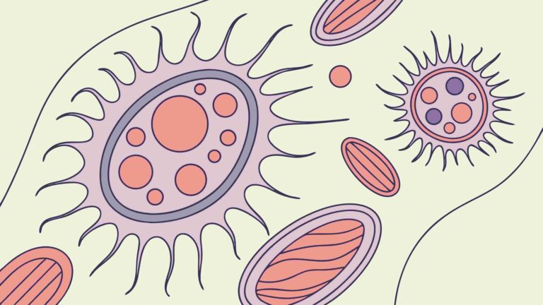 Abstract Microorganisms or Cells, Science Illustration, vector design Generative AI