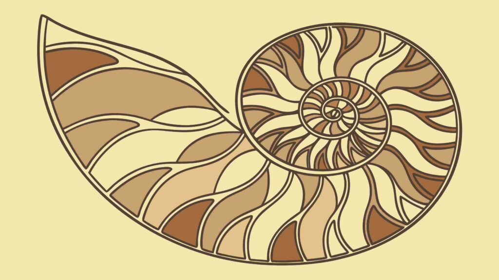 Stylized Nautilus Shell, Golden Ratio Geometric Art, vector design Generative AI