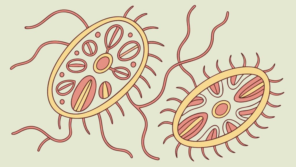 Stylized Microorganisms or Bacteria, Biological Art, vector design Generative AI
