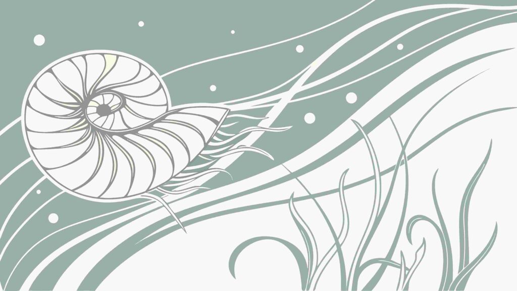 Graceful Nautiloid Shell Amidst Abstract Ocean Waves, vector design Generative AI