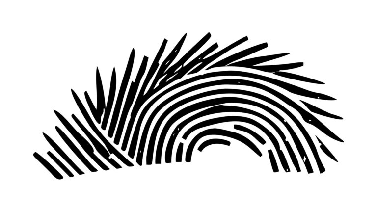 Abstract Fingerprint Swirl Pattern Vector Texture, vector design Generative AI