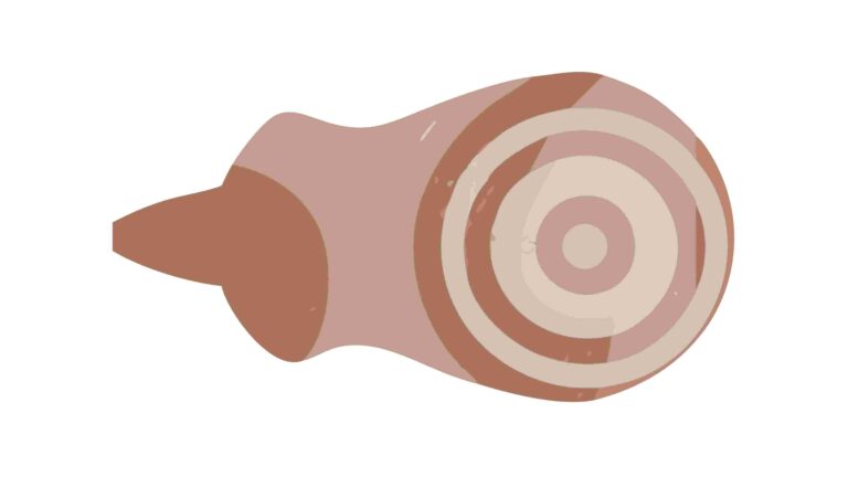 Abstract Organic Swirl Shape Vector Graphic, vector design Generative AI