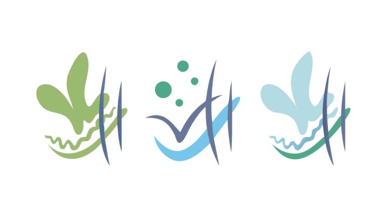 Dynamic Water Elements with Splashes Vector Set, vector design Generative AI