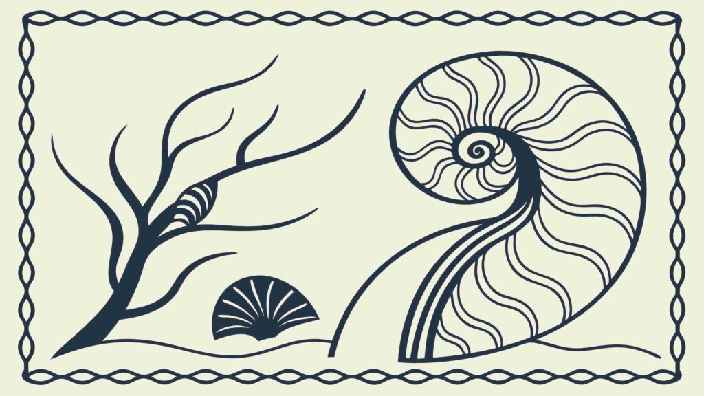 Nautilus Shell & Sea Waves Ornate Frame Vector, vector design Generative AI