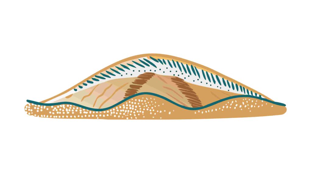 Abstract Organic Wave Pattern in Earthy Tones, vector design Generative AI