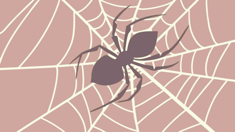 Intricate Spider with Web on Textured Background, vector design Generative AI