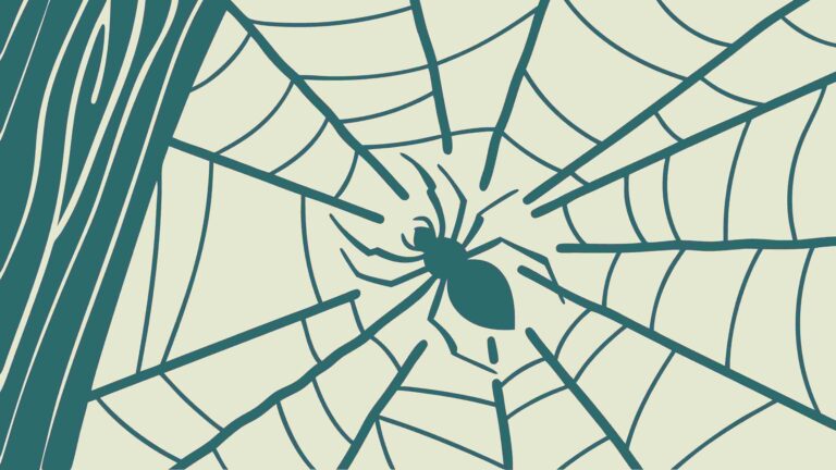 Intricate Spider and Web on Textured Background, vector design Generative AI