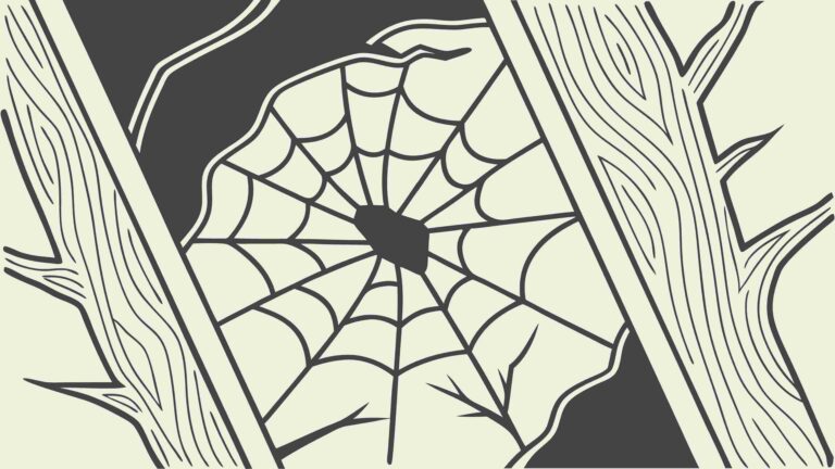 Abstract Spiderweb Design on Wooden Plank Texture, vector design Generative AI