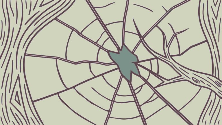 Tree Trunk with Radial Spiderweb and Cracked Bark, vector design Generative AI
