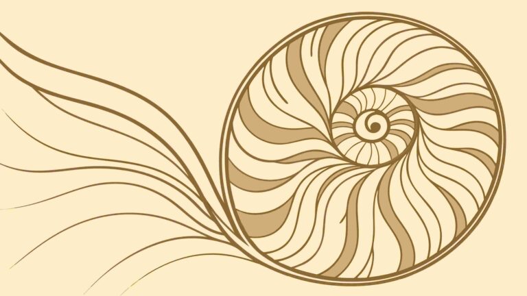 Elegant Spiral Shell Natural Geometric Pattern, vector design Generative AI