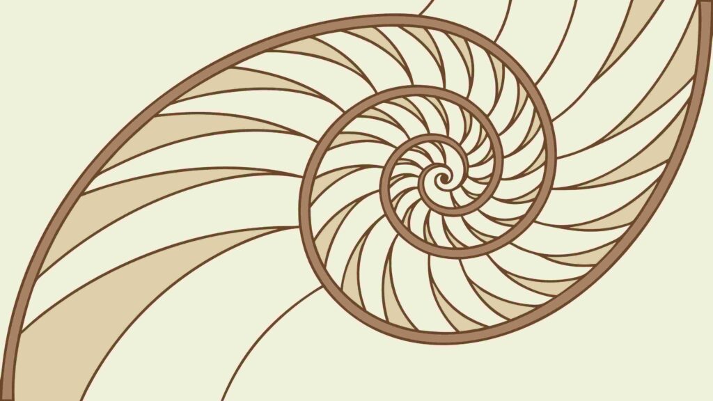 Geometric Spiral Shell Pattern Natural Art, vector design Generative AI