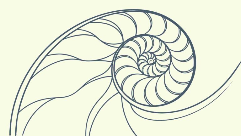 Nautilus Shell Spiral Geometric Pattern Design, vector design Generative AI