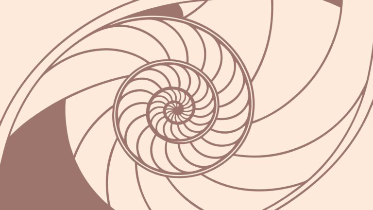 Organic Spiral Shell Detailed Art Illustration, vector design Generative AI