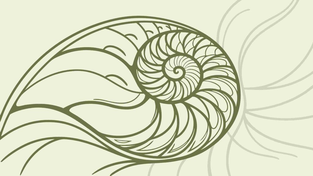 Abstract Geometric Spiral Shell Pattern, vector design Generative AI
