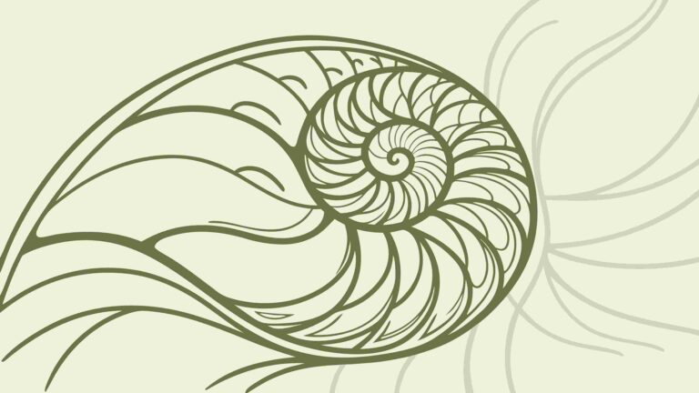 Abstract Geometric Spiral Shell Pattern, vector design Generative AI
