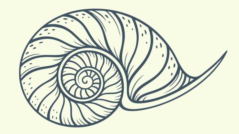Rustic Spiral Snail Shell Pattern Element, vector design Generative AI