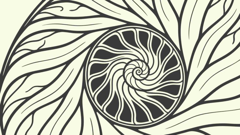 Ornate Textured Spiral Shell Pattern, vector design Generative AI