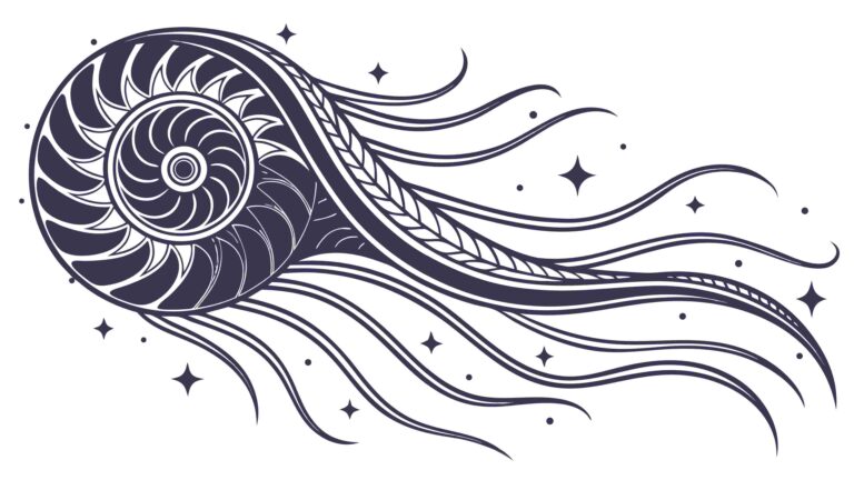 Ornate Fibonacci Spiral Shell with Flowing Lines, vector design Generative AI