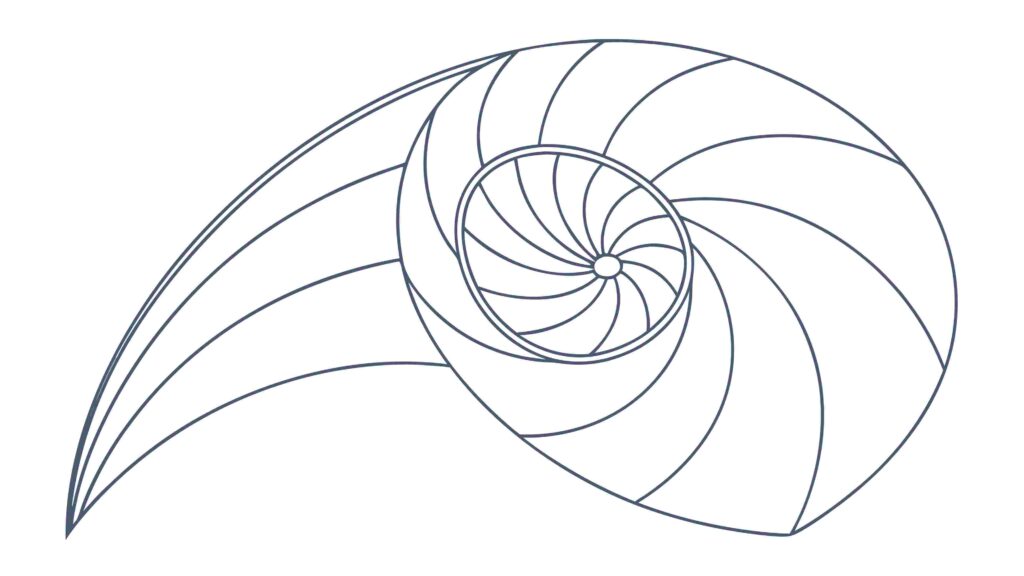 Detailed Fibonacci Spiral Shell Pattern Outline, vector design Generative AI