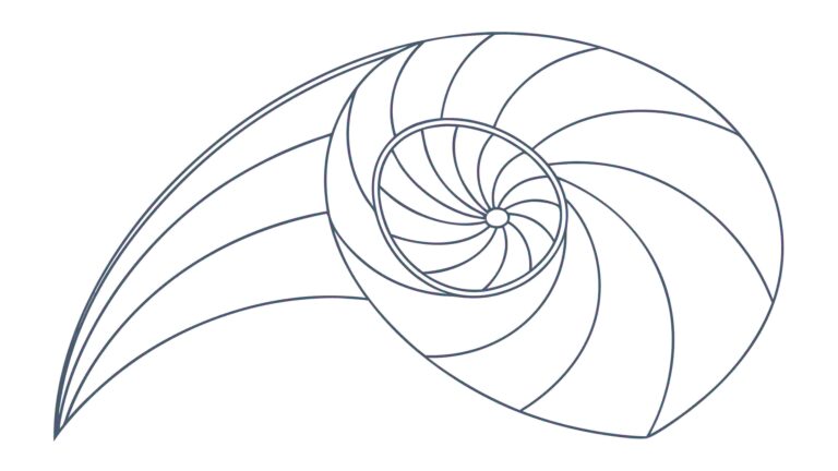 Detailed Fibonacci Spiral Shell Pattern Outline, vector design Generative AI