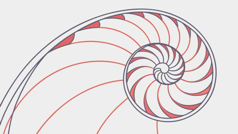 Elegant Nautilus Shell Cross-Section Diagram, vector design Generative AI