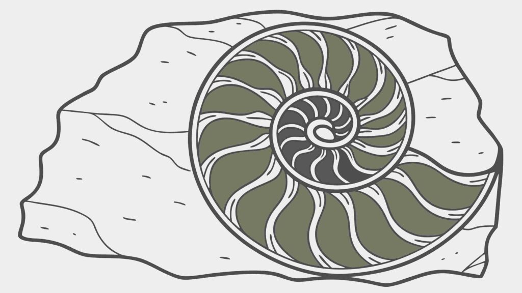 Detailed Ammonite Fossil Shell in Rock Vector Illustration, vector design Generative AI