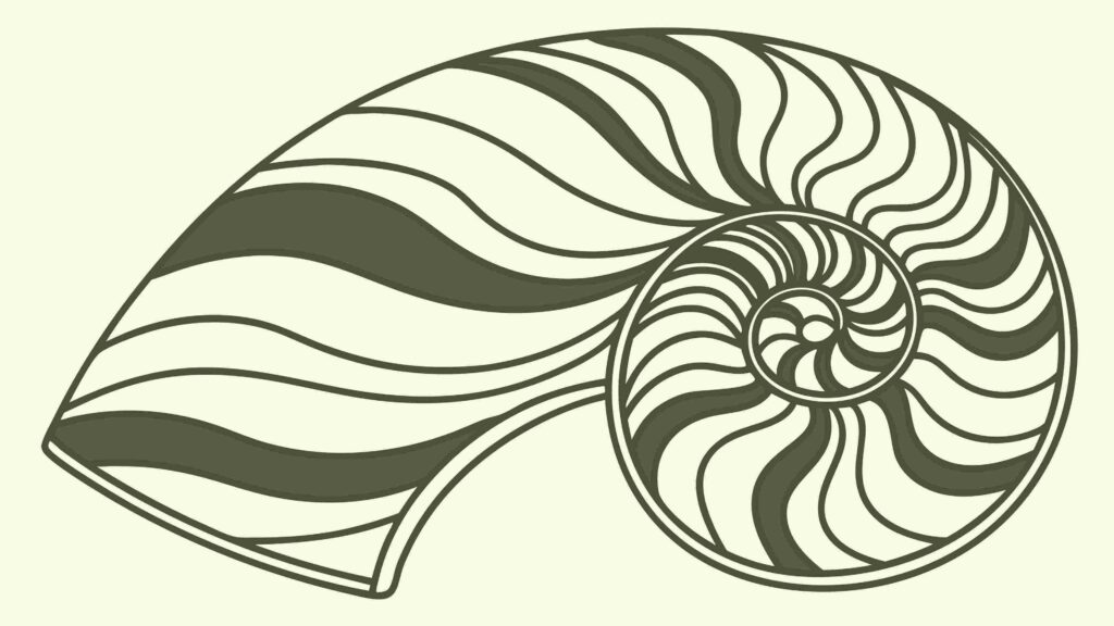 Stylized Nautilus Shell Geometric Spiral Vector Art, vector design Generative AI
