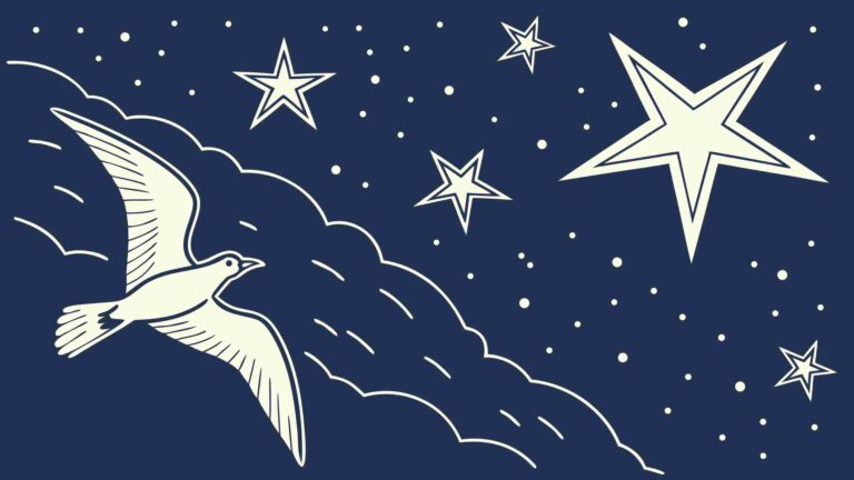 Soaring Seagull Under Starry Night Sky Vector Art, vector design Generative AI