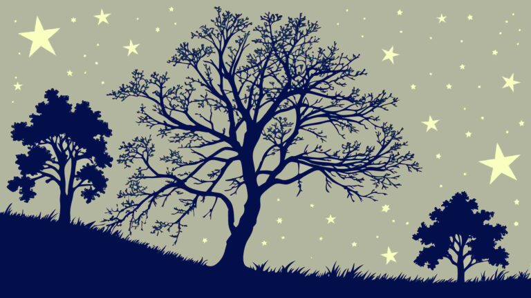 Lone Tree Silhouette Under Starry Night Sky Vector Art, vector design Generative AI