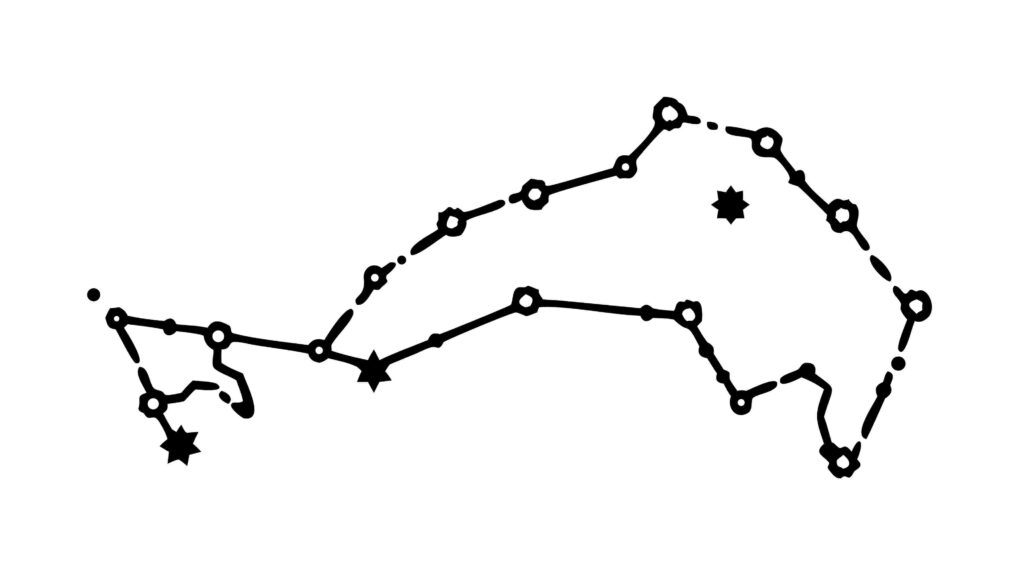 Delphinus Constellation Star Map Celestial Vector Design, vector design Generative AI