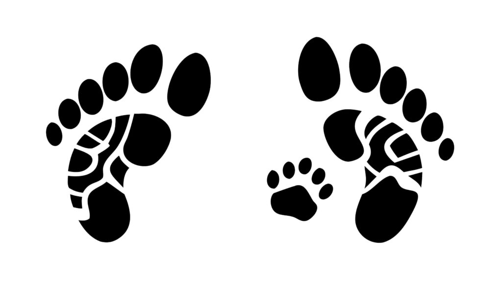 Human and Animal Footprints Tracking Vector Art, vector design Generative AI
