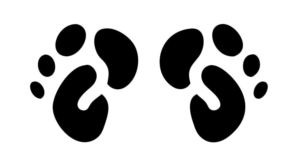 Animal Paw Prints Set Wildlife Vector Silhouette, vector design Generative AI