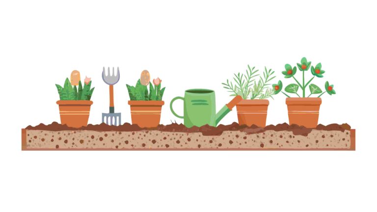 Collection of Potted Cacti and Succulents Border, vector design Generative AI