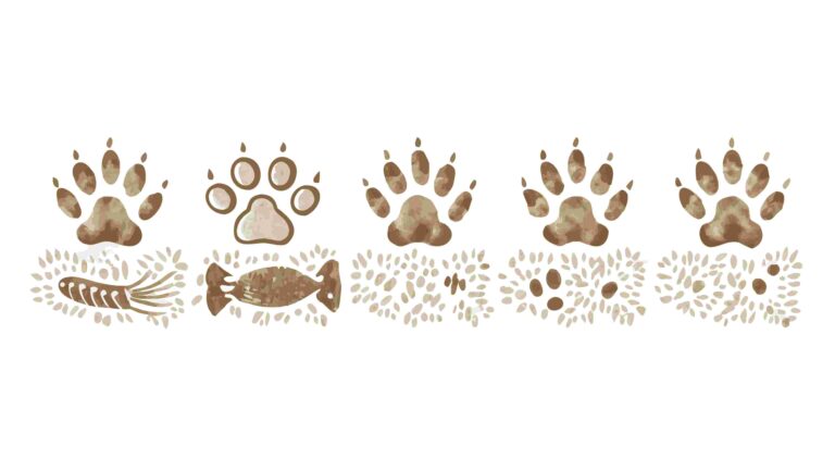Cute Pet Themed Border with Paw Prints, Bones, and Fish Vector, vector design Generative AI