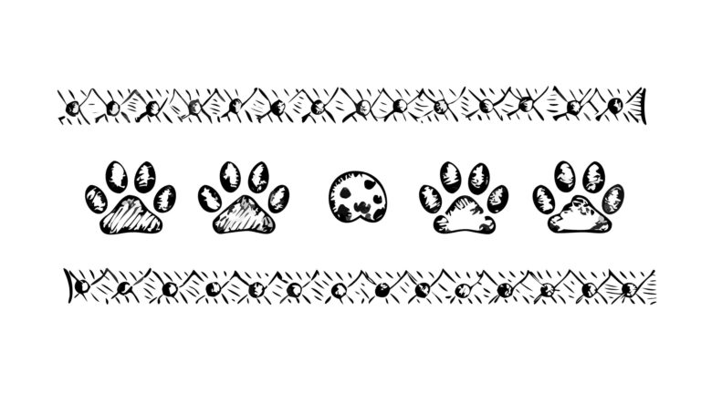 Minimalist Paw Print Pattern Border Vector for Pet Branding, vector design Generative AI